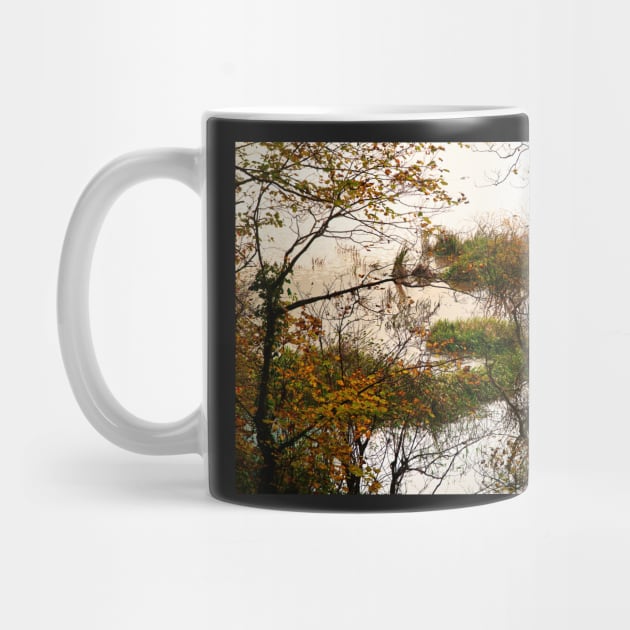 Autumn Trees In Water Logged Wetland by Harmony-Mind